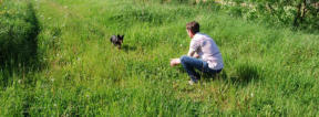 veterinaire de garde feluy