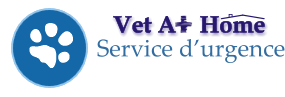 Service d’urgence Vet A    Home