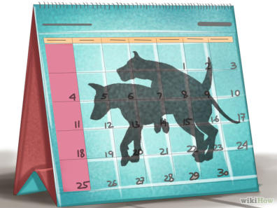 veterinaire de garde promelles