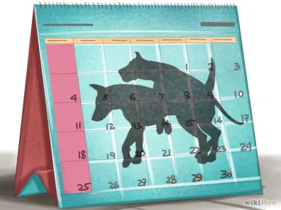 veterinaire de garde promelles