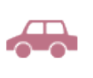 chien chat cras voiture