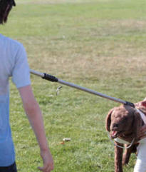 attraper chien agressif mordeur