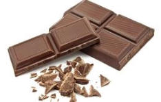 intoxication chocolat chien