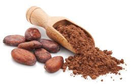 toxicite chocolat chien