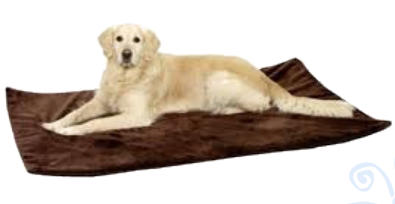 deplacer chien malade