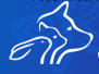 Urgences Vtrinaire  Nivelles